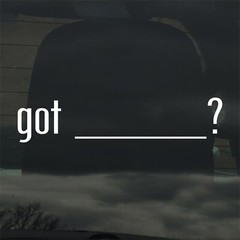Got ______? Add Your Own Custom Text Vinyl Sticker / Decal
