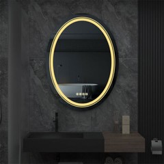 Dynamic LED Lighted Bathroom Wall Vanity Mirror RGB Touch Dimmable for Gym Hotel
