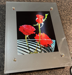 Vintage 80’s light mirror W/ red Roses RETRO wall hanging-15″X12″ TESTED WORKS