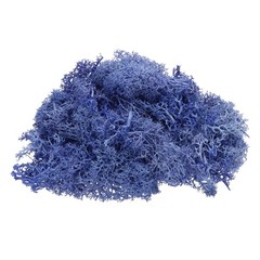 Preserved Reindeer Moss, 4 OZ Fake Moss for Crafts (Purple)