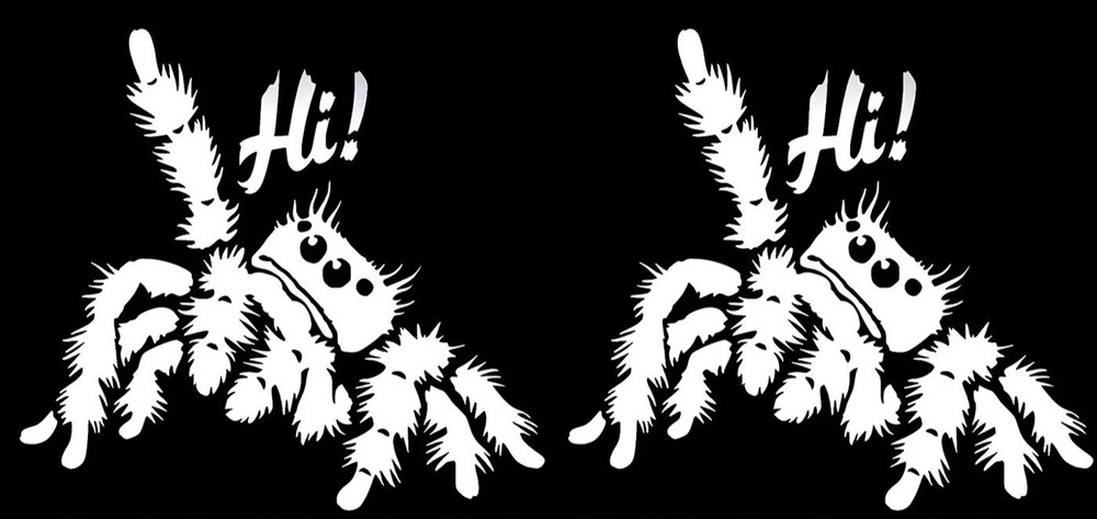 Jumping Spider «Hi!» Two PK 5″ Vinyl Decals Car Truck Window Door Laptop Tablet