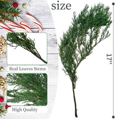 4OZ Preserved Real Pine Leaves Branches -17» Natural Greenery Plants Twigs S…