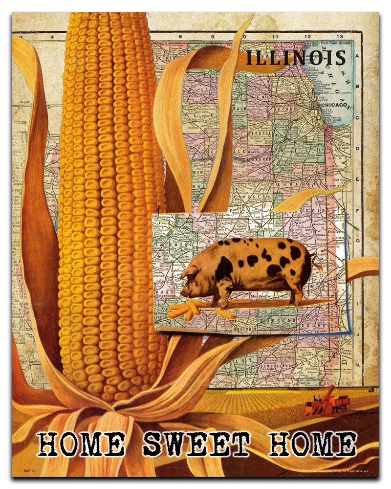 Vintage Illinois State Map Art Print Corn Hog Farm Wall Decor Home Sweet Home