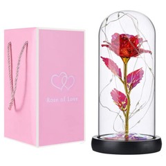 ON SALE!! Rose LED Light Glass Gifts for Wife Women Her Girlfriend Birthday Gift