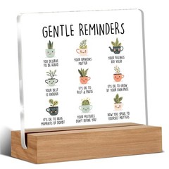 Inspirational Mental Health Gifts for Women Men, Positive Affirmations Gifts,…