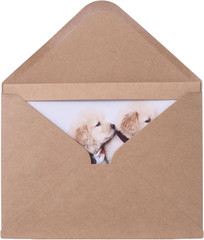 50 Count Photo Frame Cards with Envelopes 4×6 Paper Picture Frame Notecards Phot
