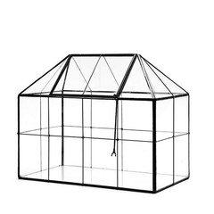 Glass Terrarium Planter for Succulents – 9.8″ x 7.9″ x 5.9″ Greenhouse with Lid