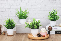 4 Pack Small Fake Plants in Pots, Faux Plants Indoor for Home Office Bathroom…