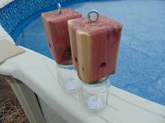 2 Red Cedar Carpenter Bee-bore traps FREE SHIPPING 100% Made in America