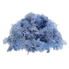 Preserved Reindeer Moss 4 OZ Fake Moss for Crafts (Sky Blue)