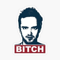 Breaking Bad Jesse Sticker draw indie 90s 2000s walter white nerd art retro