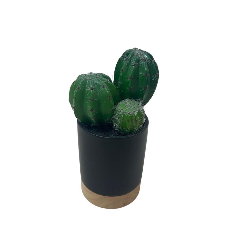 Project 62 Faux Cactus Tabletop Arrangement Black Pot Wood Base 8.5 Inch Green