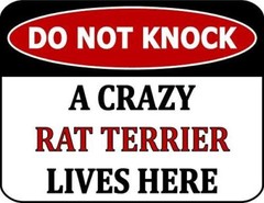PCSCP Do Not Knock A Crazy Rat Terrier Lives Here 11.5 inch by 9 inch Laminated