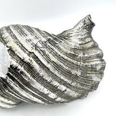 Large Silver Seashell Resin? 13 X 6 Inch Nautical Ocean Beach Decor