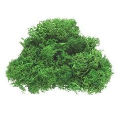 1 Pack Preserved Reindeer Moss 4 OZ Fake Moss for Crafts Green