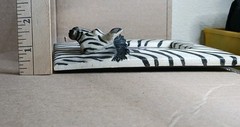 3.5×5-in Photo Resin Frame Zebra 3D. Excellent Condition See Photos