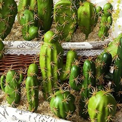 N|A 10 PCS Faux Fake Succulents Artificial Cactus DecorFaux Cactus Cacti Plan…