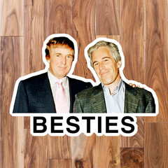 «BESTIES» Sticker Pack Donald Trump w/ Jeffrey Epstein Files Anti-Trump Stickers