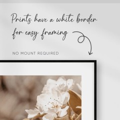 Beige Botanical Wall Art Prints Bedroom Living Room Posters Pictures Home Decor