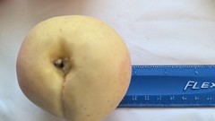 Faux FRUIT Life-Sized Yellow PEACHES 3″ Fuzzy LIFELIKE lightweight Set/ LOT x12
