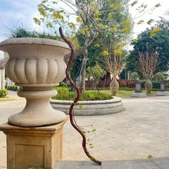 Bendable Artificial Tree Thick Trunk Twigs Cane Climbing Vine Branches with M…