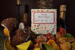 Flying Wish Paper – Write it, Light it, Watch it Fly – LOVEBIRDS – 5″ x 5″ Mini