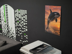 Killer Whale Sunset Ocean Wall Vinyl Decal Poster Print Removable Adhesive