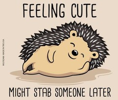«Feeling Cute – I May Stab Ya» Kitchen Fridge Magnet – 3.5″ x 2.5″ Made in USA