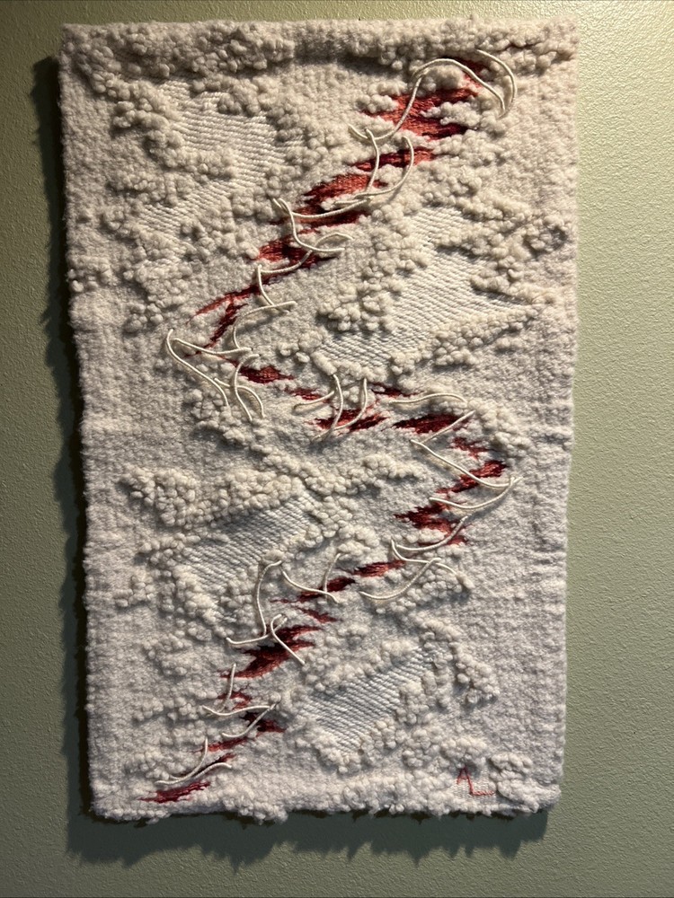 100% Wool Handmade Wall Art Tapestry Hanging Decor. ￼