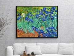 Irises by Van Gogh Fine Art Painting Reproduction Canvas Print Picture Framed