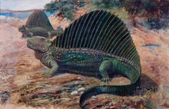 Charles R Knight Dimetrodon : Prehistoric Reptiles : Art Print 1897