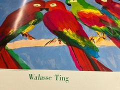 WALASSE TING Parrots