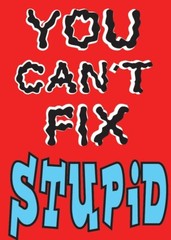«You Cant’t Fix Stupid» Funny Kitchen Fridge Magnet – 3.5″ x 2.5″ Made in USA