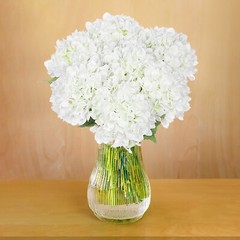 EZFLOWERY 5 Pcs Artificial Silk Hydrangea Flowers 18» Bouquet Arrangement White
