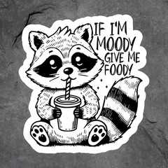 Raccoon Sticker Vinyl Decal If Im Moody Give Me Foody Funny Cute
