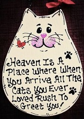 CAT Heaven Is A Place SIGN In Memory Wall PLAQUE Pet Groomer Kennel Wood Crafts