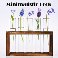 Desktop Glass Plant Propagation Station with 5 Test Tubes in Wooden Stand – H…