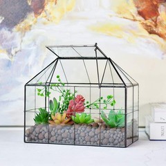 Glass Terrarium Planter for Succulents – 9.8″ x 7.9″ x 5.9″ Greenhouse with Lid