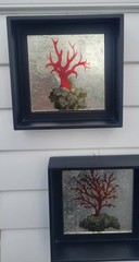Coral Print, Mirror Effect Black Framed Shadow Boxes, Set of 2, Coastal Classy