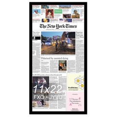 11×22 Newspaper Frame, Display 11 x 22 Inch Newspaper Front Page for Wall, Li