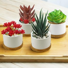16 Pcs Artificial Succulents Plants Mini Fake Succulents for Home Garden