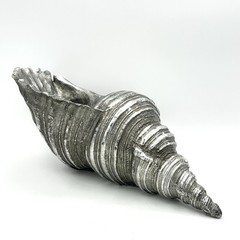 Large Silver Seashell Resin? 13 X 6 Inch Nautical Ocean Beach Decor