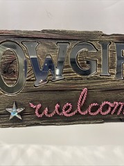 Home Accents COWGIRLS WELCOME WOODEN MIRRORED HANGING WALL DECOR PINK LETTER