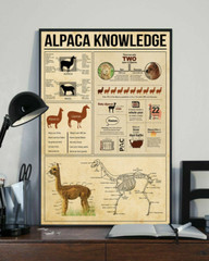 Alpaca Knowledge Home Wall Art Poster