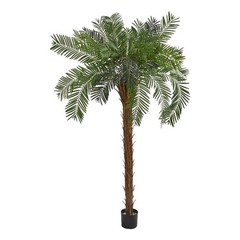 Pemberly Row 84″ Tall Cycas Palm Artificial Tree in Green/Black