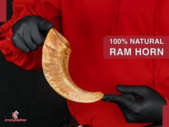 Natural Ram Horn Paperweight, Decorative Home Décor, 10-12 Inches – Novelty Gift