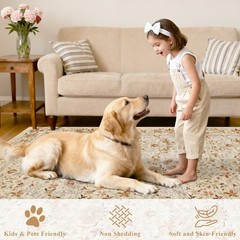 DUKINO 4×6 Rugs for Living Room, Lightweight Non Slip Washable Rug with Low P…