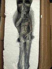 Alien Invasion “Peace & Quiet” 10″ H Shelf Sitters Set of 2 – Alien Gray Resin