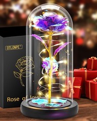 Preserved Artificial Rose Flower Lamp, Forever Women Gifts for Birthday Chris…