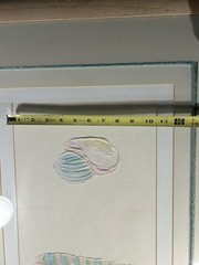 Vanguard Studios Coastal Seashell Embossed Wall Art 39.5”x27.5” Framed USA Vntg